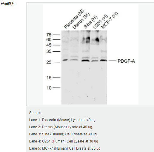 6052ae00a7c1b.png image.png