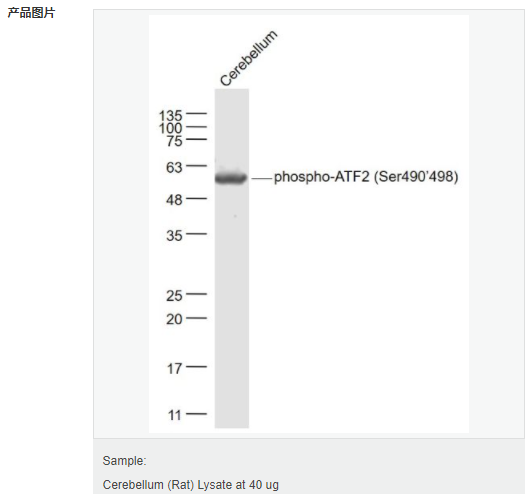 6052b6813df59.png image.png