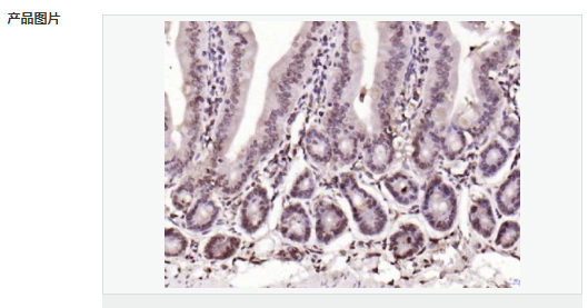 6052bc162e285.png image.png