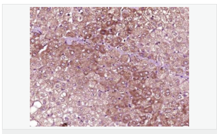 6052c286bd901.png image.png