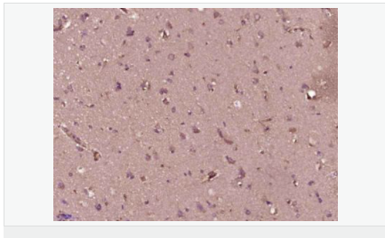 60540f1ac117c.png image.png