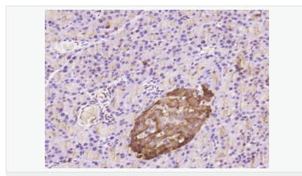 60543c653baf8.png image.png