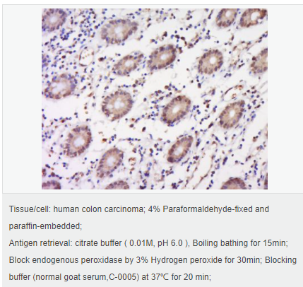 60543fe02c452.png image.png