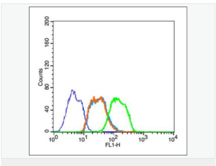 6054401842b6c.png image.png