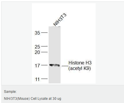 60544e6780839.png image.png