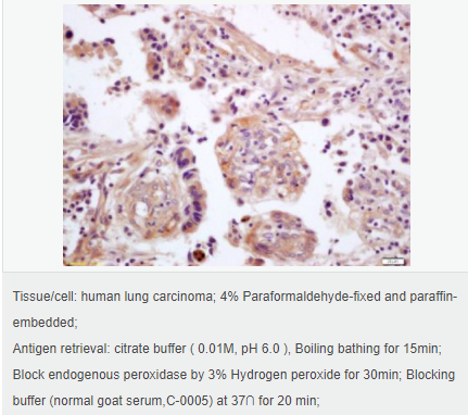 60544fc053221.png image.png