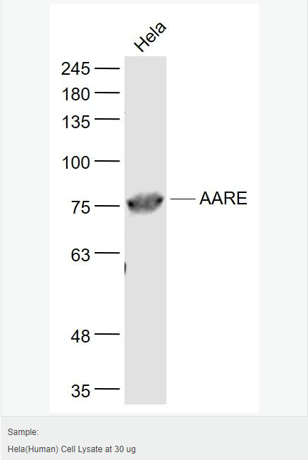 605801dbcd225.png image.png