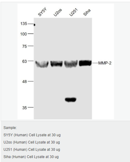 605805f149599.png image.png