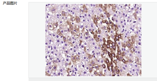 60581298029d4.png image.png