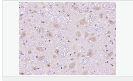 605835675c9a4.png image.png