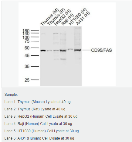 60584f9f8f319.png image.png