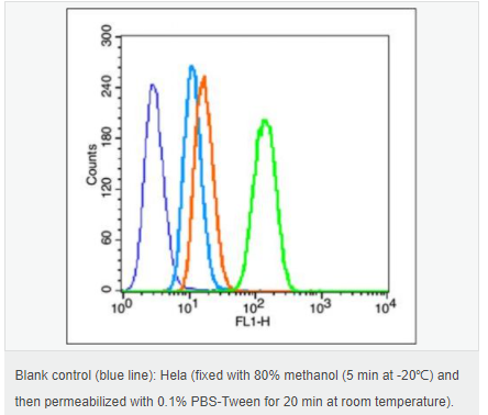 6058539732bb0.png image.png