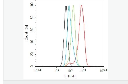 605856027439f.png image.png