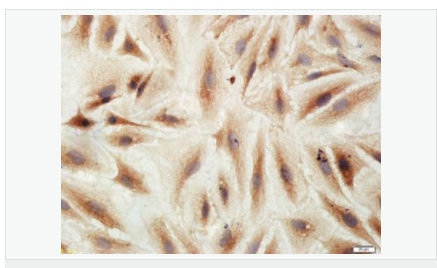 605941278d133.png image.png