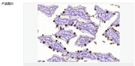 605943257f49e.png image.png