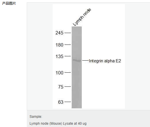 605943ee07cbb.png image.png