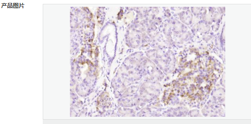 605944e444be9.png image.png