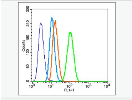 605949b54138a.png image.png