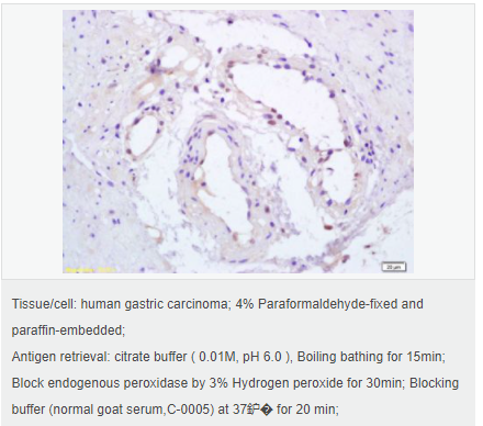 605952d42eaf9.png image.png