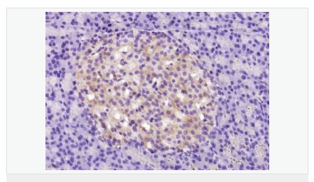 6059922896225.png image.png