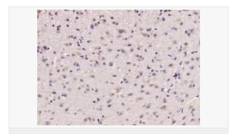 605993058ab99.png image.png