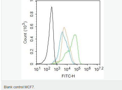 60599c88481f6.png image.png