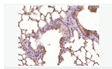 60616d0b62c04.png image.png