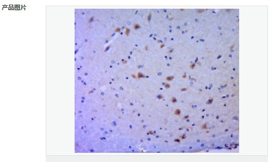 60616e5d9d5de.png image.png