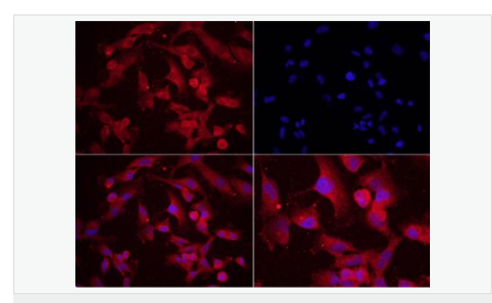 6063d047375db.png image.png