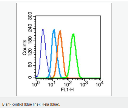 6063d56c648de.png image.png