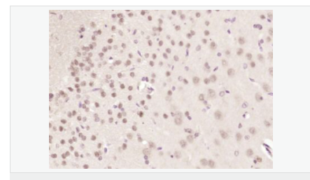 60640e4433afc.png image.png