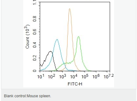 606566ca2faac.png image.png