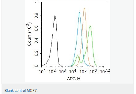 6065693d42bb0.png image.png