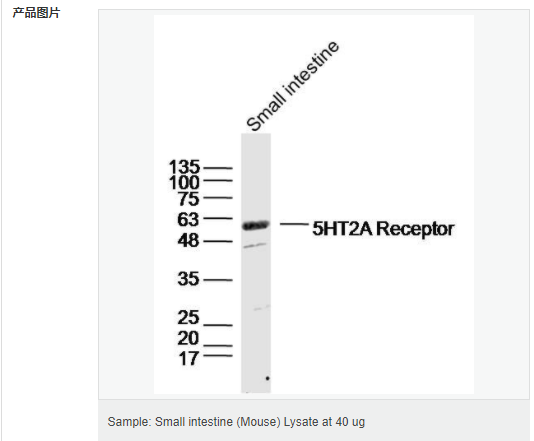 606571c394d6b.png image.png