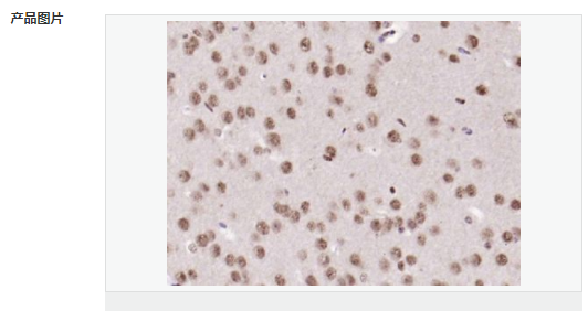 606689dd62d99.png image.png