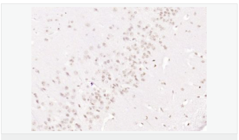 6066bc0c9c82d.png image.png