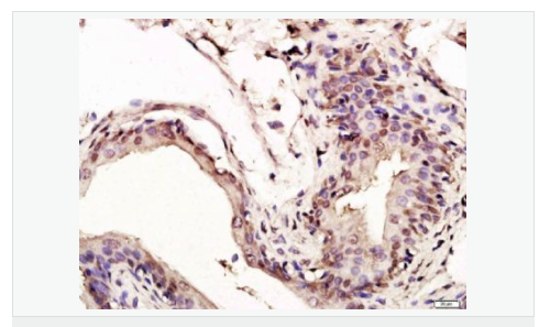 6066bcaad2ae4.png image.png