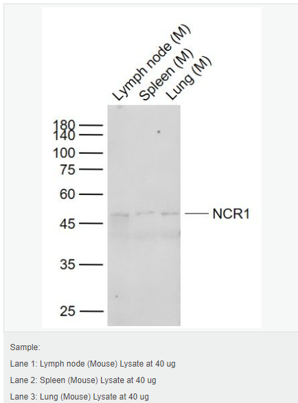 6066c417d8a45.png image.png