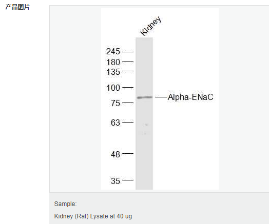 6066c509d9ba8.png image.png