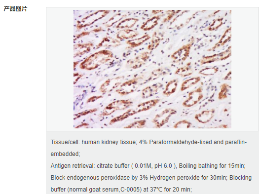 607641861be86.png image.png