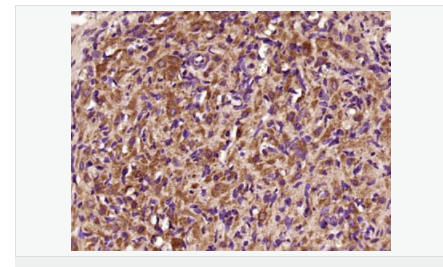 6076420609941.png image.png