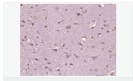 607643fd12780.png image.png