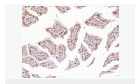 607651e4c384b.png image.png