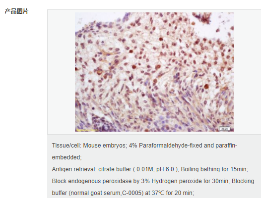 60765c83cbcab.png image.png