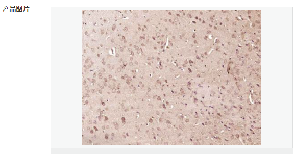 607681696b512.png image.png