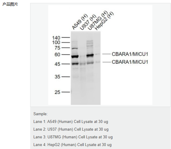 60791f830fc42.png image.png