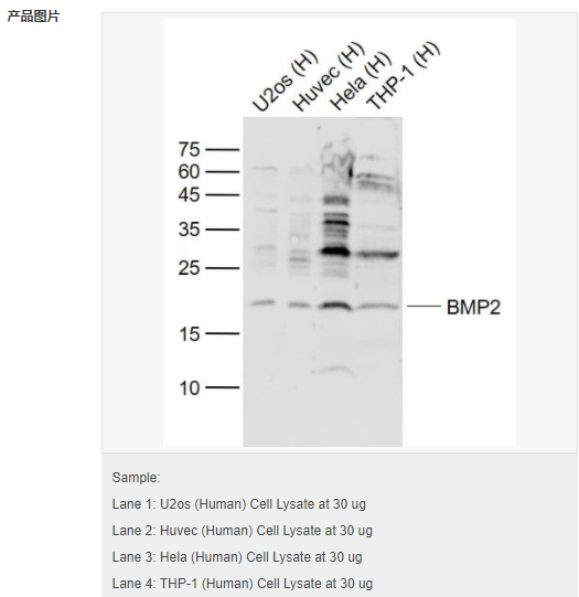 60794d589a7a9.png image.png