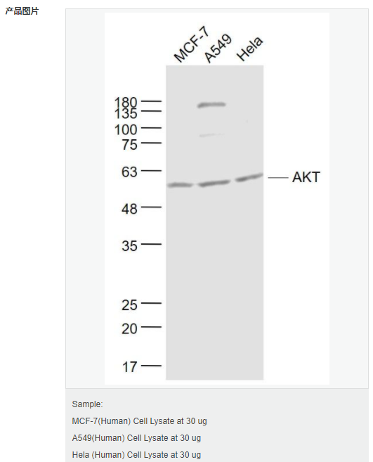 60794ef25599a.png image.png