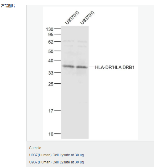 607954f2348f6.png image.png