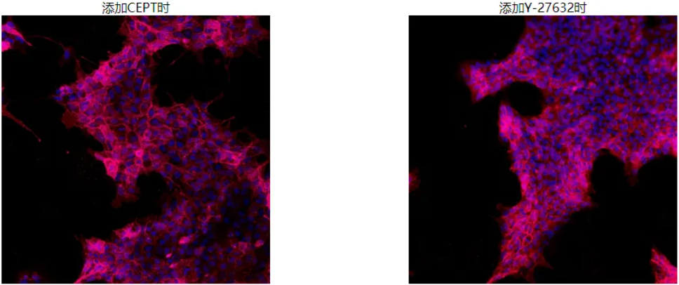 672b3109cac73.png image.png